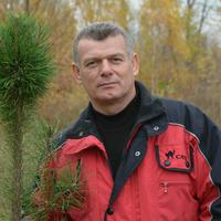 Отзыв от Григорий - DTV виза